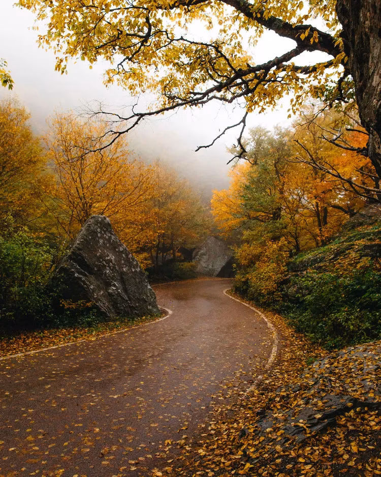 vermont-s-best-fall-foliage-drives-for-2026-leaf-peepers-image-5