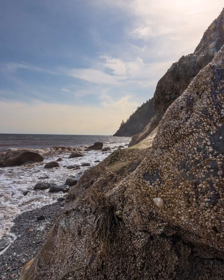 10-beautiful-coastal-towns-in-new-brunswick-im-dreaming-of-visiting-in-2026-image-0