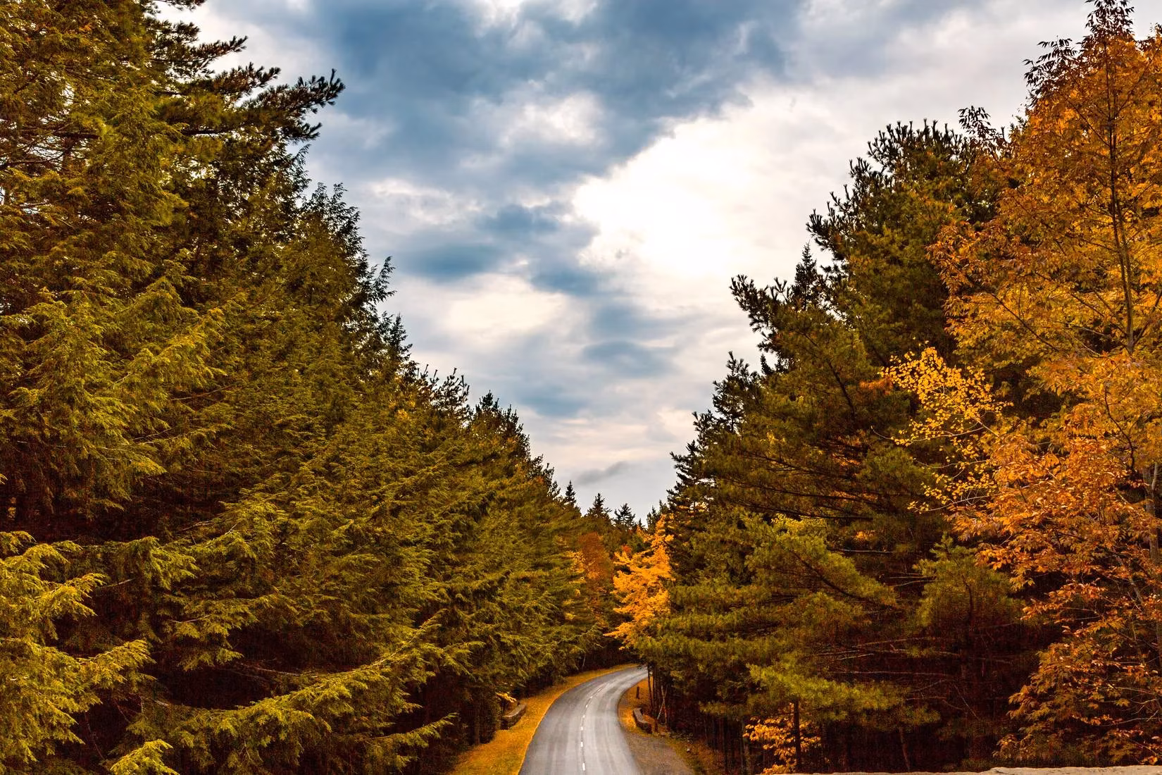 best-fall-foliage-drives-beyond-blue-ridge-parkway-in-2025-image-1