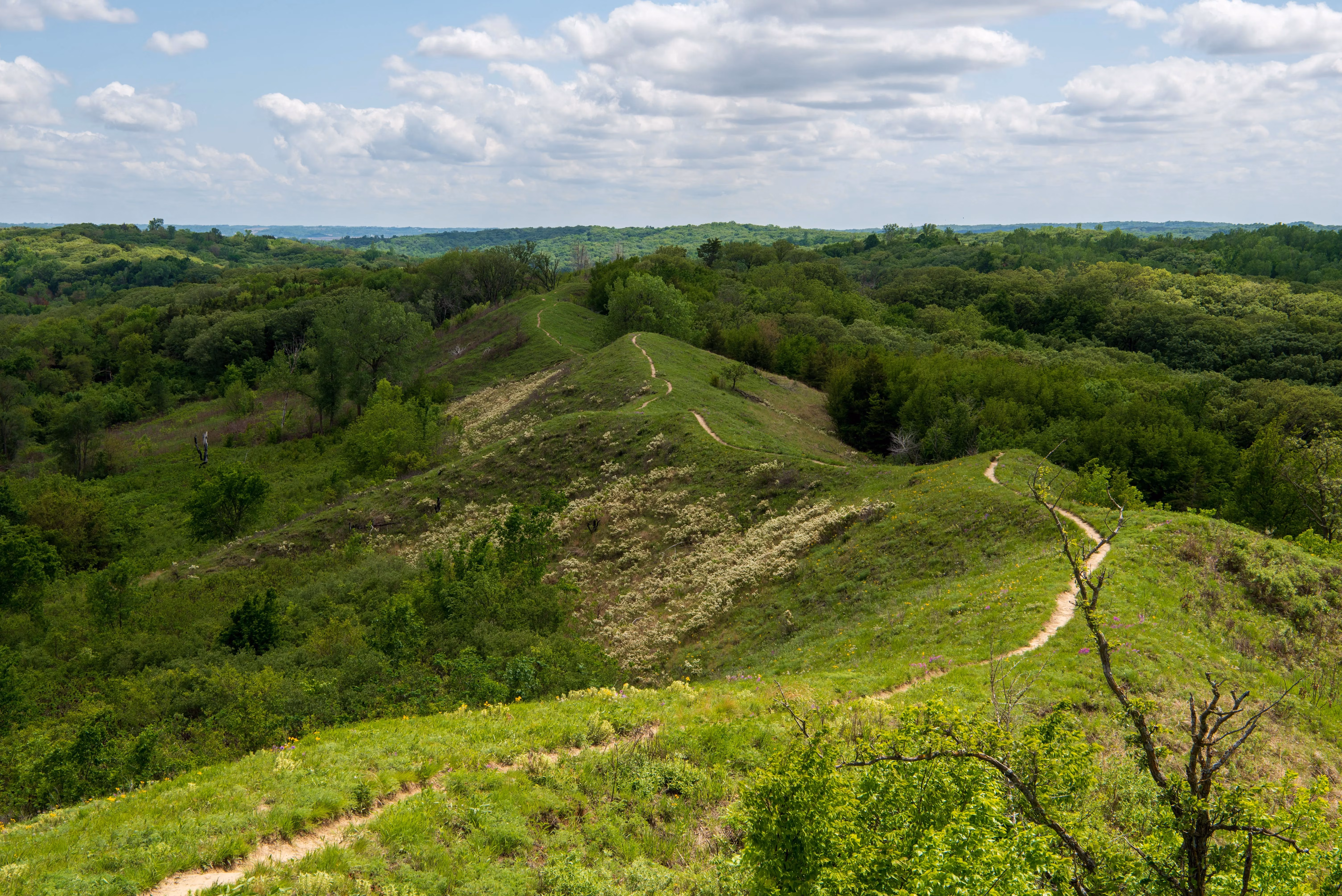 my-adventure-on-the-loess-hills-national-scenic-byway-image-3