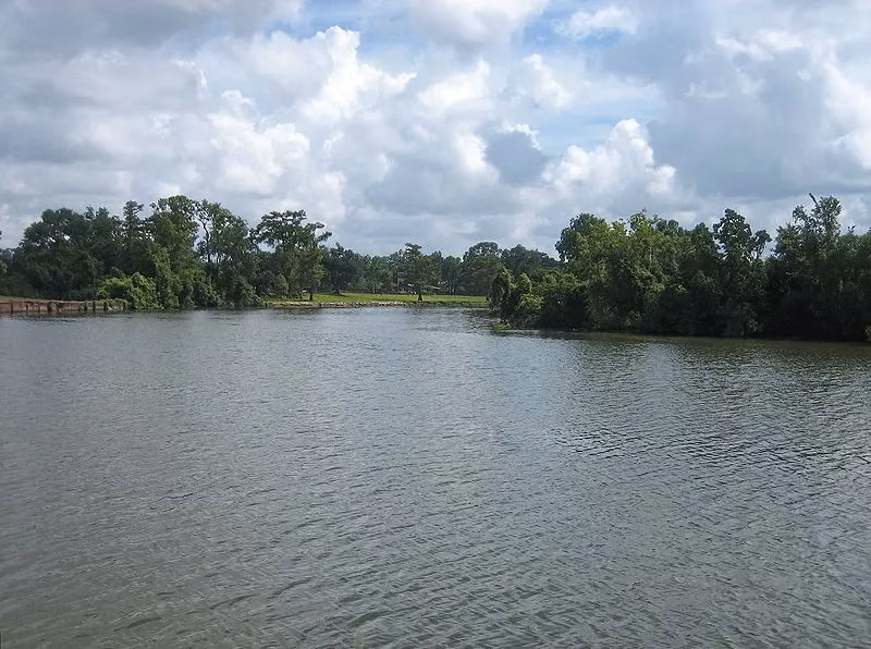 southern-dreams-on-asphalt-a-poetic-journey-through-america-s-scenic-southern-roads-image-8