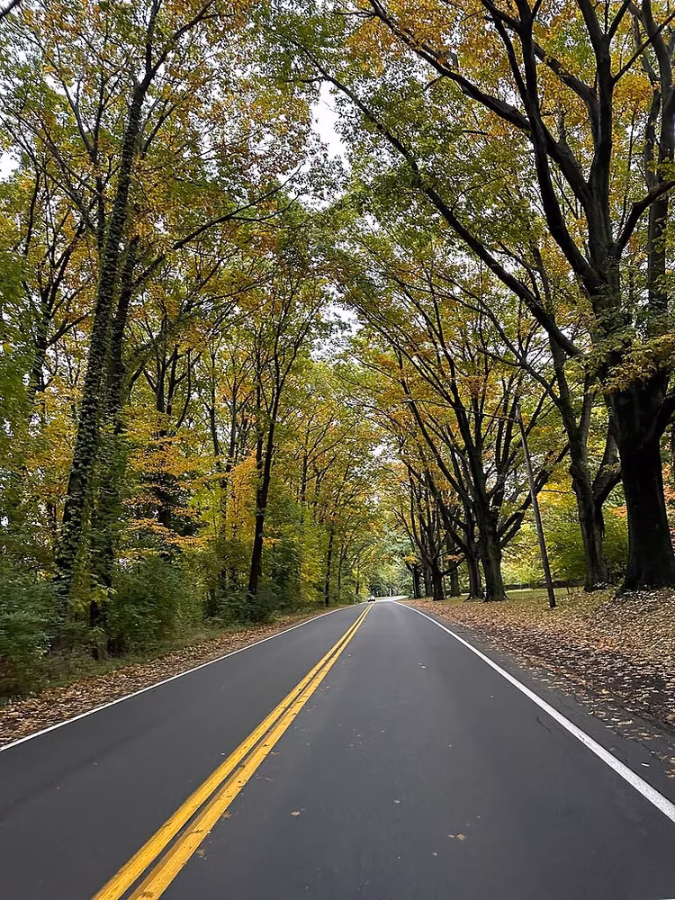 new-york-s-ultimate-fall-foliage-road-trips-for-2026-image-7