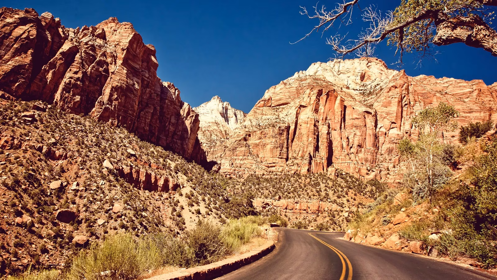 zion-national-park-rockfall-a-sudden-interruption-to-scenic-serenity-image-0